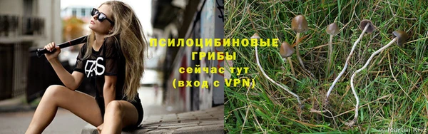 ALPHA-PVP Беломорск
